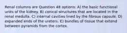 Renal columns are Question 48 options: A) the basic functional units of the kidney. B) conical structures that are located in the renal medulla. C) internal cavities lined by the fibrous capsule. D) expanded ends of the ureters. E) bundles of tissue that extend between pyramids from the cortex.