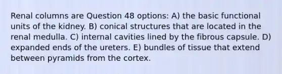 Renal columns are Question 48 options: A) the basic functional units of the kidney. B) conical structures that are located in the renal medulla. C) internal cavities lined by the fibrous capsule. D) expanded ends of the ureters. E) bundles of tissue that extend between pyramids from the cortex.