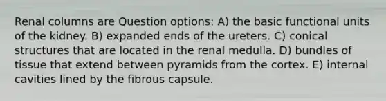 Renal columns are Question options: A) the basic functional units of the kidney. B) expanded ends of the ureters. C) conical structures that are located in the renal medulla. D) bundles of tissue that extend between pyramids from the cortex. E) internal cavities lined by the fibrous capsule.