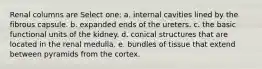 Renal columns are Select one: a. internal cavities lined by the fibrous capsule. b. expanded ends of the ureters. c. the basic functional units of the kidney. d. conical structures that are located in the renal medulla. e. bundles of tissue that extend between pyramids from the cortex.