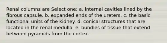 Renal columns are Select one: a. internal cavities lined by the fibrous capsule. b. expanded ends of the ureters. c. the basic functional units of the kidney. d. conical structures that are located in the renal medulla. e. bundles of tissue that extend between pyramids from the cortex.