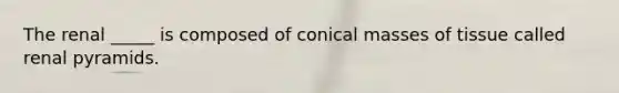 The renal _____ is composed of conical masses of tissue called renal pyramids.