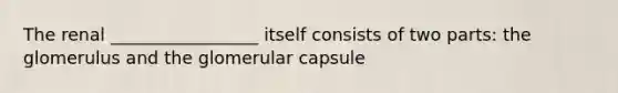 The renal _________________ itself consists of two parts: the glomerulus and the glomerular capsule