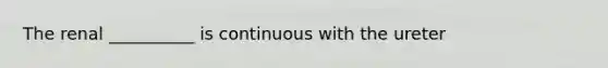 The renal __________ is continuous with the ureter