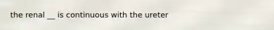the renal __ is continuous with the ureter