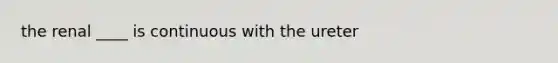the renal ____ is continuous with the ureter