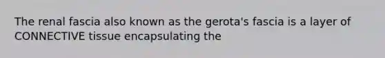 The renal fascia also known as the gerota's fascia is a layer of CONNECTIVE tissue encapsulating the