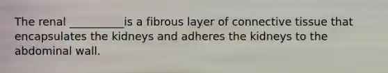 The renal __________is a fibrous layer of <a href='https://www.questionai.com/knowledge/kYDr0DHyc8-connective-tissue' class='anchor-knowledge'>connective tissue</a> that encapsulates the kidneys and adheres the kidneys to the abdominal wall.