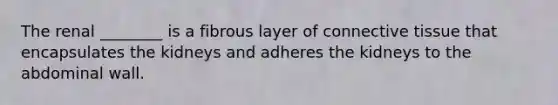 The renal ________ is a fibrous layer of connective tissue that encapsulates the kidneys and adheres the kidneys to the abdominal wall.