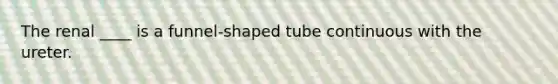 The renal ____ is a funnel-shaped tube continuous with the ureter.