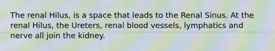 The renal Hilus, is a space that leads to the Renal Sinus. At the renal Hilus, the Ureters, renal <a href='https://www.questionai.com/knowledge/kZJ3mNKN7P-blood-vessels' class='anchor-knowledge'>blood vessels</a>, lymphatics and nerve all join the kidney.