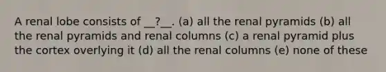 A renal lobe consists of __?__. (a) all the renal pyramids (b) all the renal pyramids and renal columns (c) a renal pyramid plus the cortex overlying it (d) all the renal columns (e) none of these