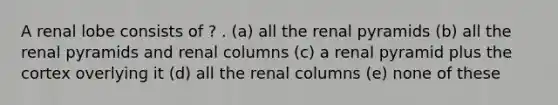 A renal lobe consists of ? . (a) all the renal pyramids (b) all the renal pyramids and renal columns (c) a renal pyramid plus the cortex overlying it (d) all the renal columns (e) none of these