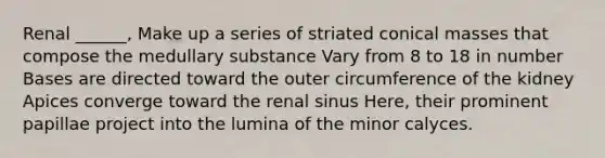 Renal ______, Make up a series of striated conical masses that compose the medullary substance Vary from 8 to 18 in number Bases are directed toward the outer circumference of the kidney Apices converge toward the renal sinus Here, their prominent papillae project into the lumina of the minor calyces.