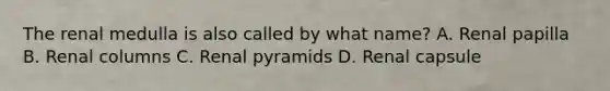 The renal medulla is also called by what name? A. Renal papilla B. Renal columns C. Renal pyramids D. Renal capsule