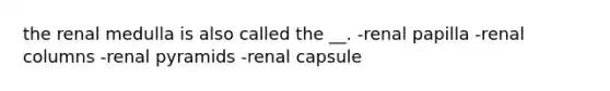 the renal medulla is also called the __. -renal papilla -renal columns -renal pyramids -renal capsule