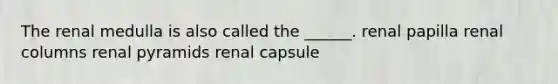 The renal medulla is also called the ______. renal papilla renal columns renal pyramids renal capsule