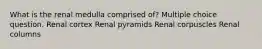 What is the renal medulla comprised of? Multiple choice question. Renal cortex Renal pyramids Renal corpuscles Renal columns