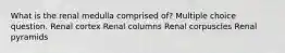 What is the renal medulla comprised of? Multiple choice question. Renal cortex Renal columns Renal corpuscles Renal pyramids