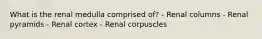 What is the renal medulla comprised of? - Renal columns - Renal pyramids - Renal cortex - Renal corpuscles