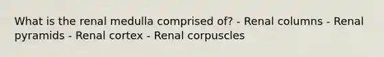 What is the renal medulla comprised of? - Renal columns - Renal pyramids - Renal cortex - Renal corpuscles