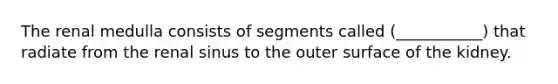 The renal medulla consists of segments called (___________) that radiate from the renal sinus to the outer surface of the kidney.