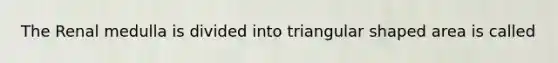 The Renal medulla is divided into triangular shaped area is called