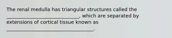 The renal medulla has triangular structures called the ______________________________, which are separated by extensions of cortical tissue known as ____________________________________.