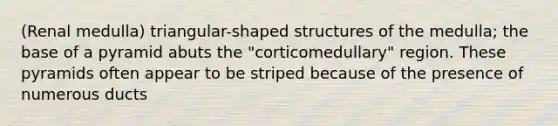 (Renal medulla) triangular-shaped structures of the medulla; the base of a pyramid abuts the "corticomedullary" region. These pyramids often appear to be striped because of the presence of numerous ducts