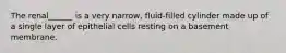 The renal______ is a very narrow, fluid-filled cylinder made up of a single layer of epithelial cells resting on a basement membrane.