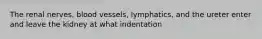 The renal nerves, blood vessels, lymphatics, and the ureter enter and leave the kidney at what indentation