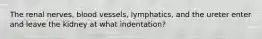 The renal nerves, blood vessels, lymphatics, and the ureter enter and leave the kidney at what indentation?