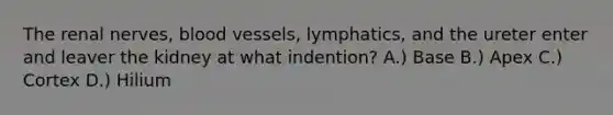 The renal nerves, <a href='https://www.questionai.com/knowledge/kZJ3mNKN7P-blood-vessels' class='anchor-knowledge'>blood vessels</a>, lymphatics, and the ureter enter and leaver the kidney at what indention? A.) Base B.) Apex C.) Cortex D.) Hilium