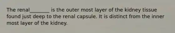 The renal________ is the outer most layer of the kidney tissue found just deep to the renal capsule. It is distinct from the inner most layer of the kidney.