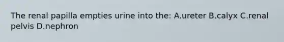 The renal papilla empties urine into the: A.ureter B.calyx C.renal pelvis D.nephron