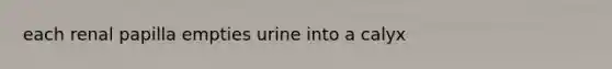 each renal papilla empties urine into a calyx