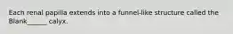 Each renal papilla extends into a funnel-like structure called the Blank______ calyx.