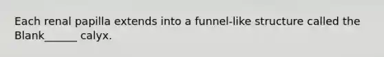 Each renal papilla extends into a funnel-like structure called the Blank______ calyx.