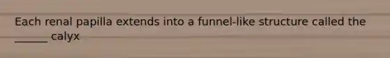 Each renal papilla extends into a funnel-like structure called the ______ calyx