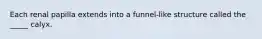 Each renal papilla extends into a funnel-like structure called the _____ calyx.