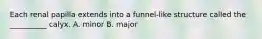 Each renal papilla extends into a funnel-like structure called the __________ calyx. A. minor B. major