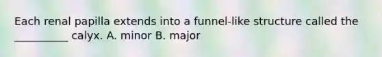 Each renal papilla extends into a funnel-like structure called the __________ calyx. A. minor B. major