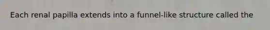 Each renal papilla extends into a funnel-like structure called the