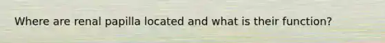 Where are renal papilla located and what is their function?