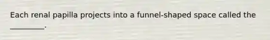 Each renal papilla projects into a funnel-shaped space called the _________.