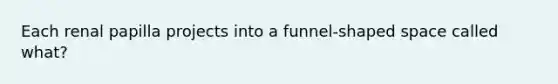 Each renal papilla projects into a funnel-shaped space called what?