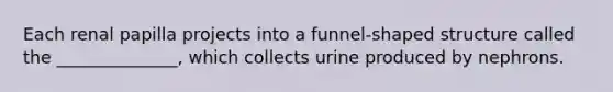 Each renal papilla projects into a funnel-shaped structure called the ______________, which collects urine produced by nephrons.