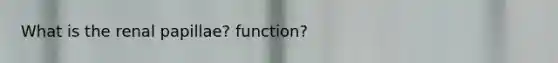 What is the renal papillae? function?