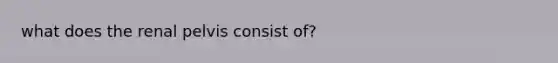 what does the renal pelvis consist of?