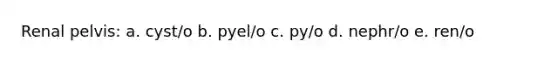 Renal pelvis: a. cyst/o b. pyel/o c. py/o d. nephr/o e. ren/o